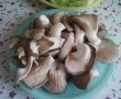 Sarmale cu pleurotus-2