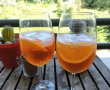 Aperol Spritz-6