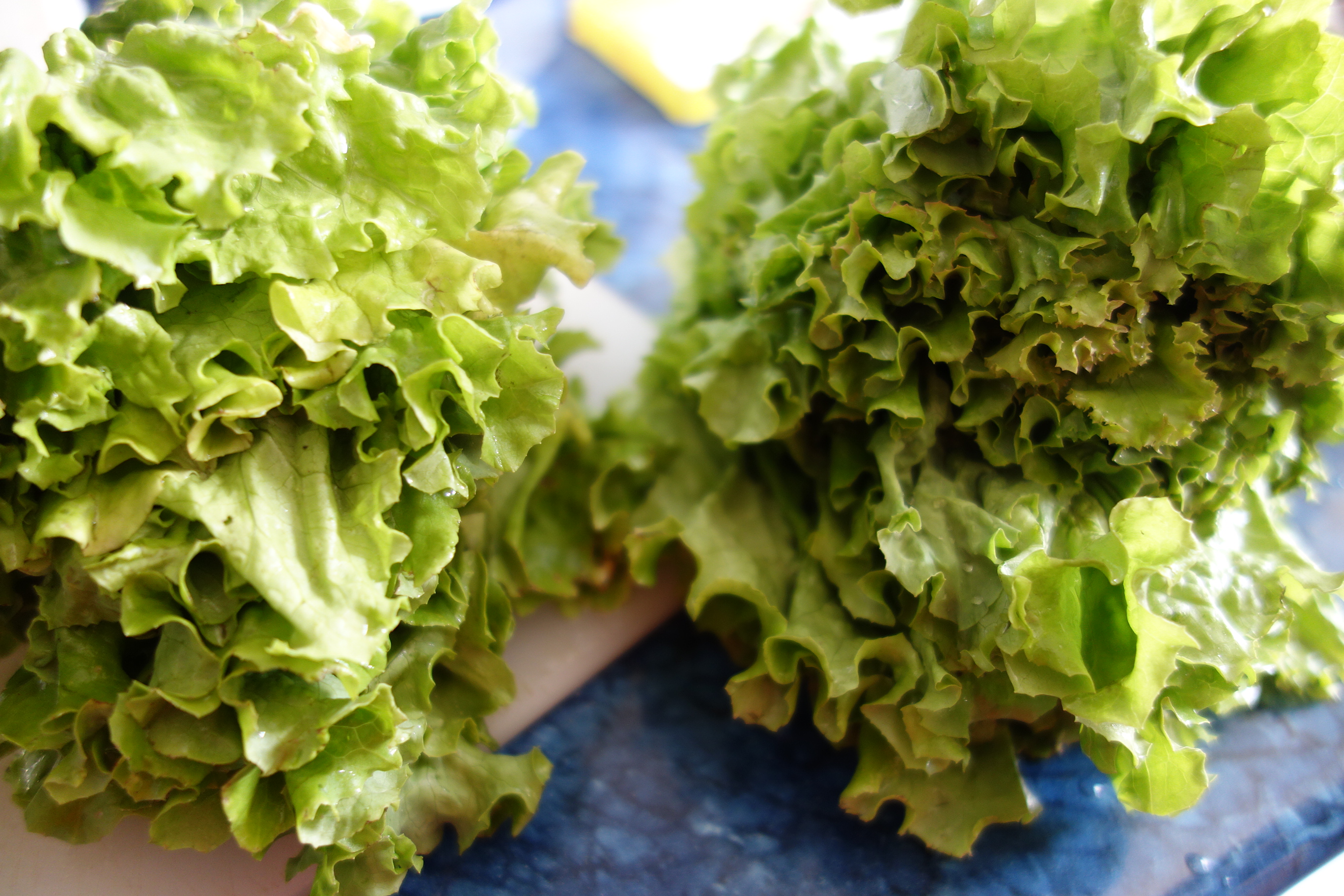 Bors de salata verde