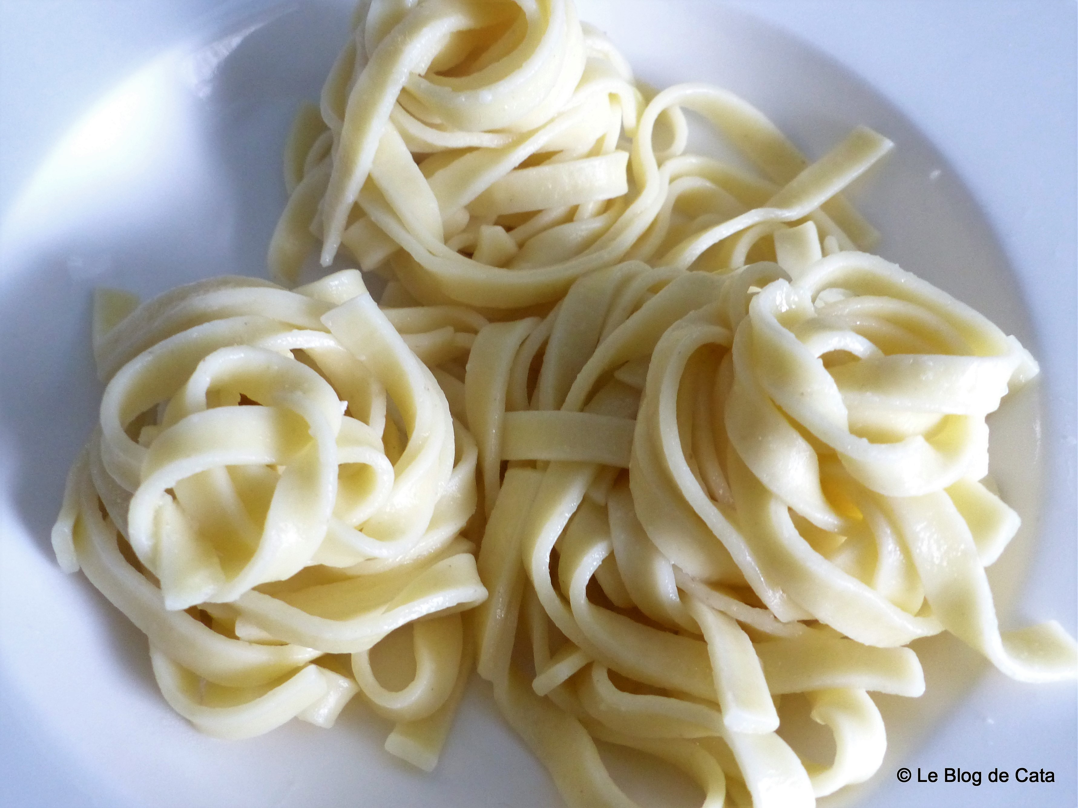 Paste Fettuccini cu curcan, smantana si ciuperci