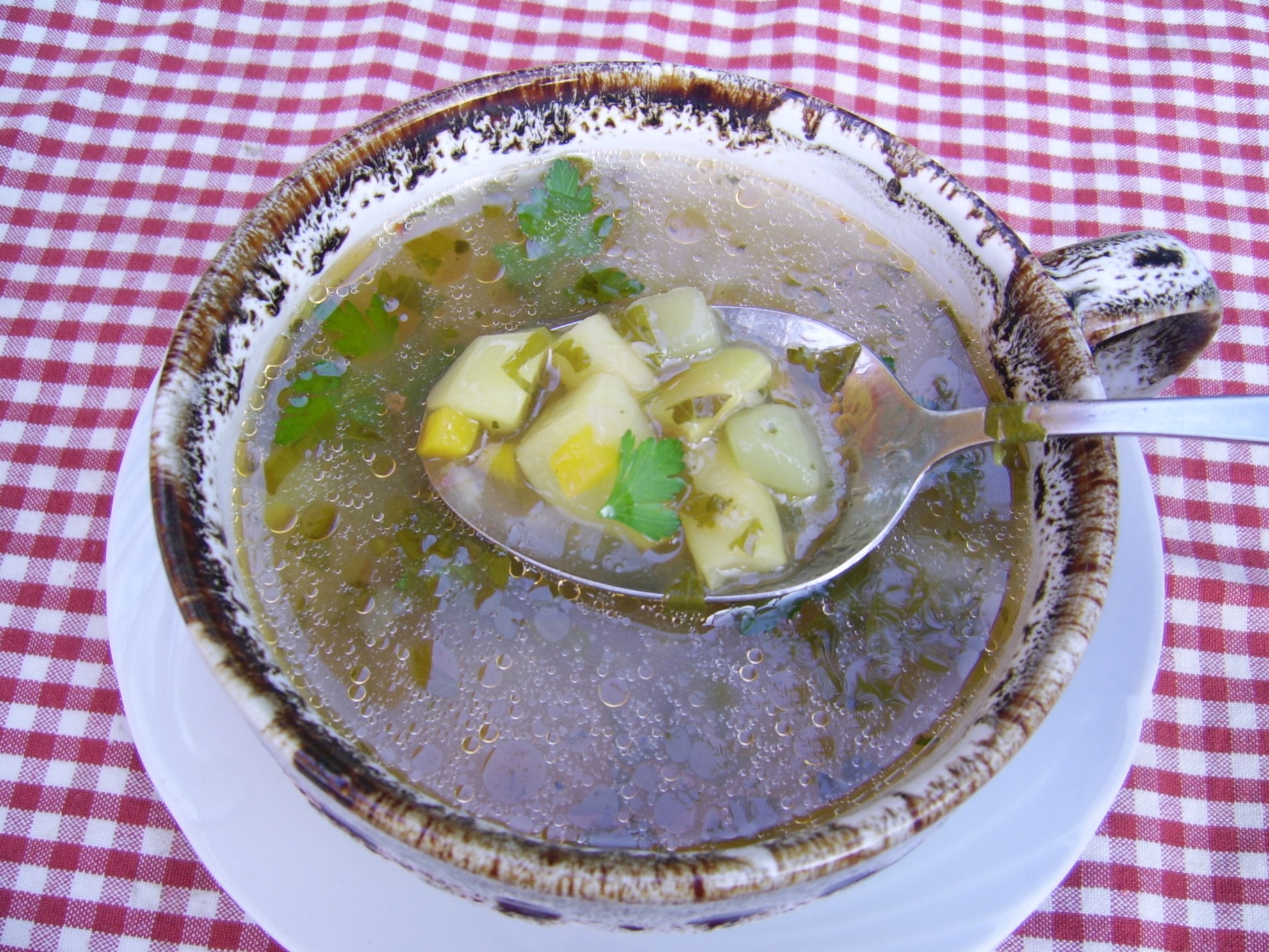 Ciorba de fasole verde cu dovlecel