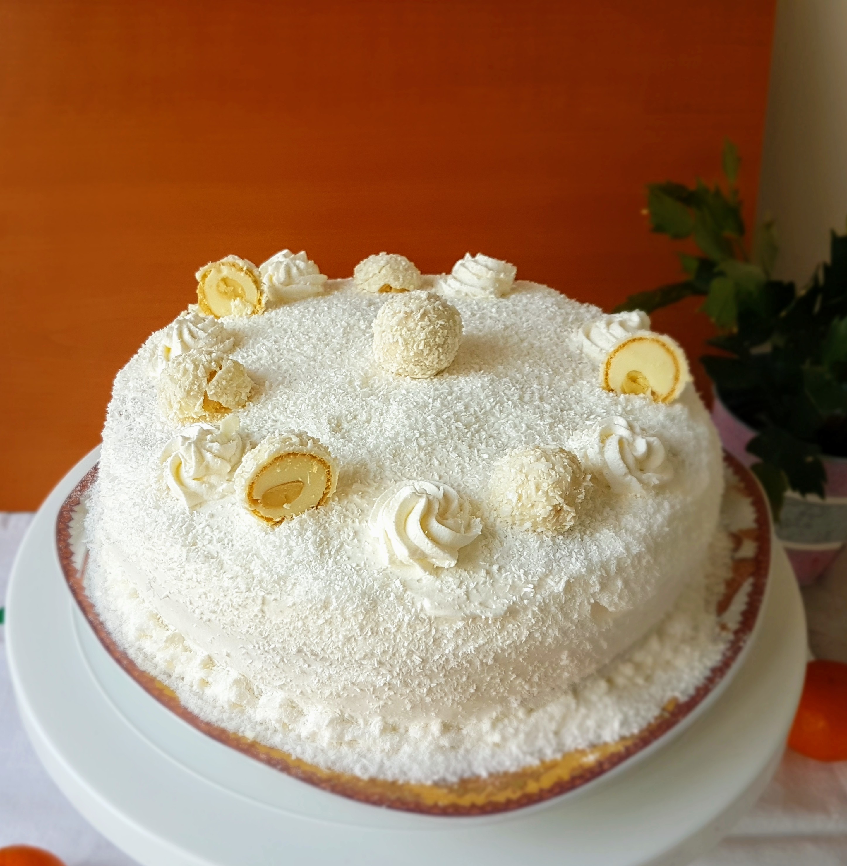 Desert tort Raffaello