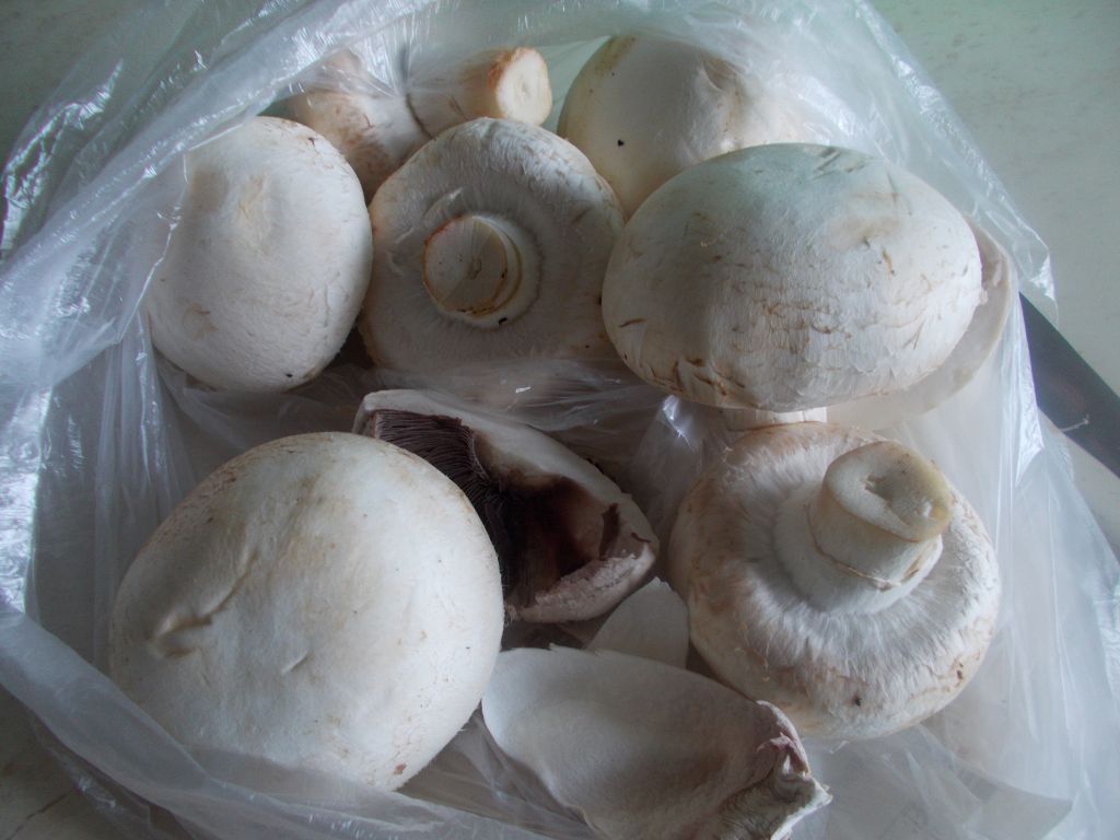 Reteta de tocanita de ciuperci champignon, cu ceapa si usturoi