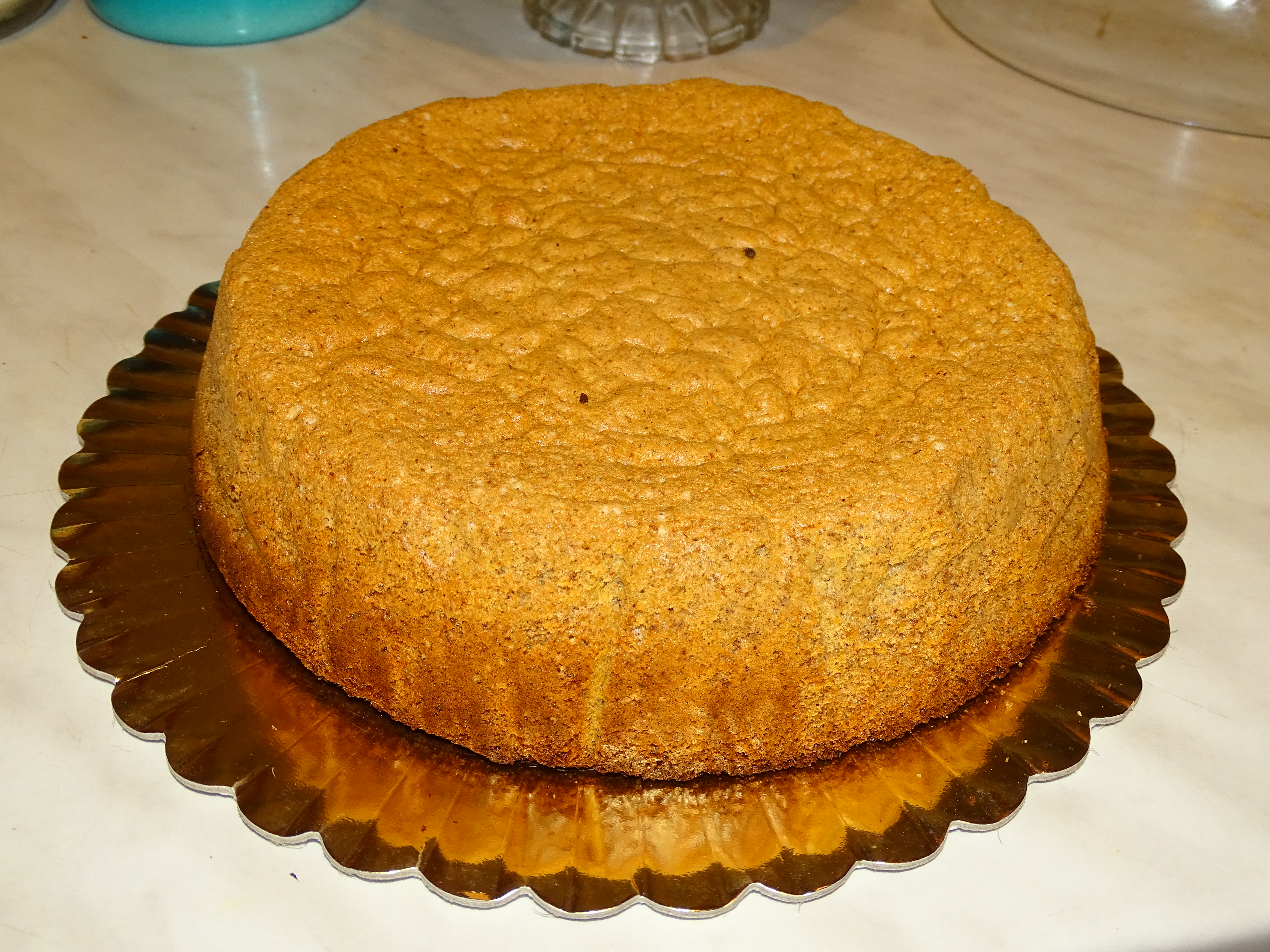 Desert tort M