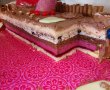 Desert tort Castel-10