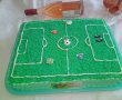 Desert tort teren de fotbal-13