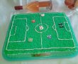 Desert tort teren de fotbal-19