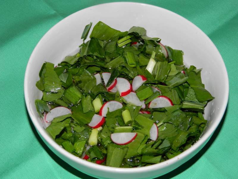 Salata de leurda