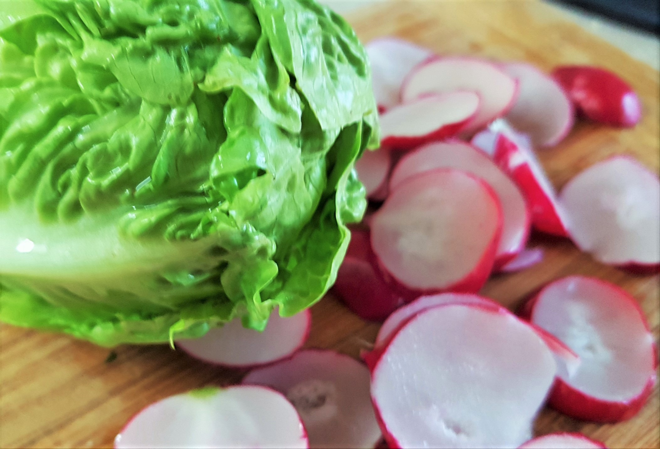 Salata cu mozzarella, rosii si oregano