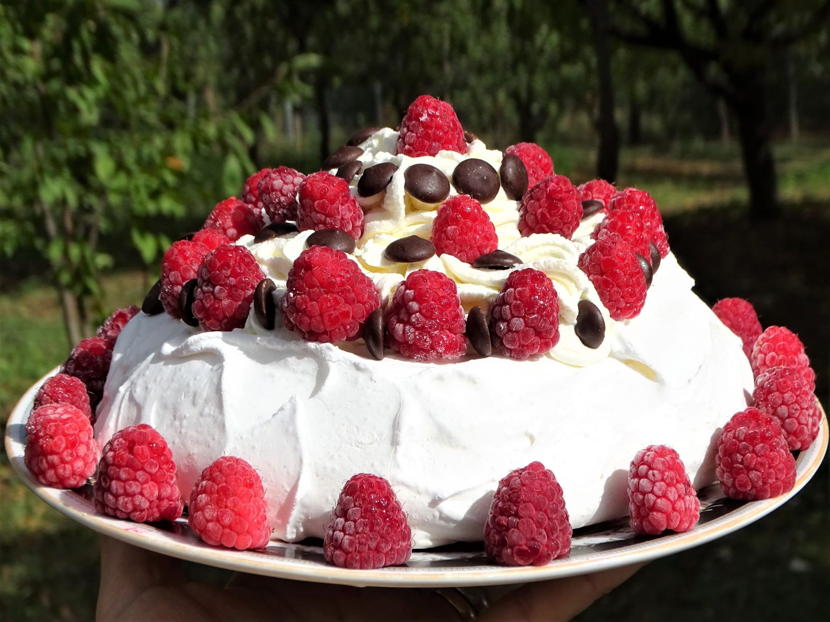 Desert Pavlova, cu rochie de vara intr-o toamna