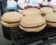 Desert macarons cu ciocolata (reteta nr. 400)-14