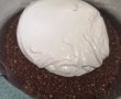 Desert Tiramisu Cheesecake - reteta nr. 800-5