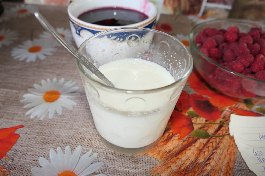 Panna Cotta cu zmeura  - Deliciu fin si cremos