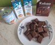 Înghețata de ciocolată - Deliciu de vară-1