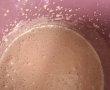 Înghețata de ciocolată - Deliciu de vară-5